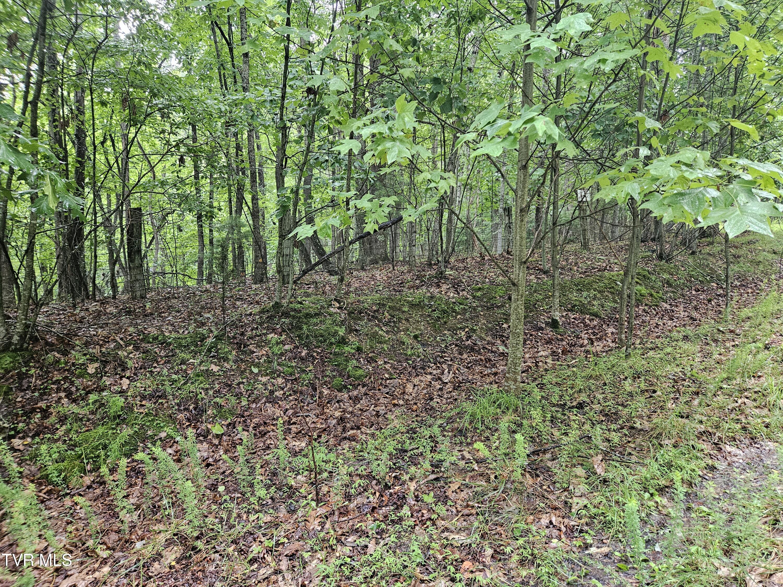 Tbd Jaybird Branch Road Coeburn, VA 24230 - Photo 7 of 16 20260722_180408