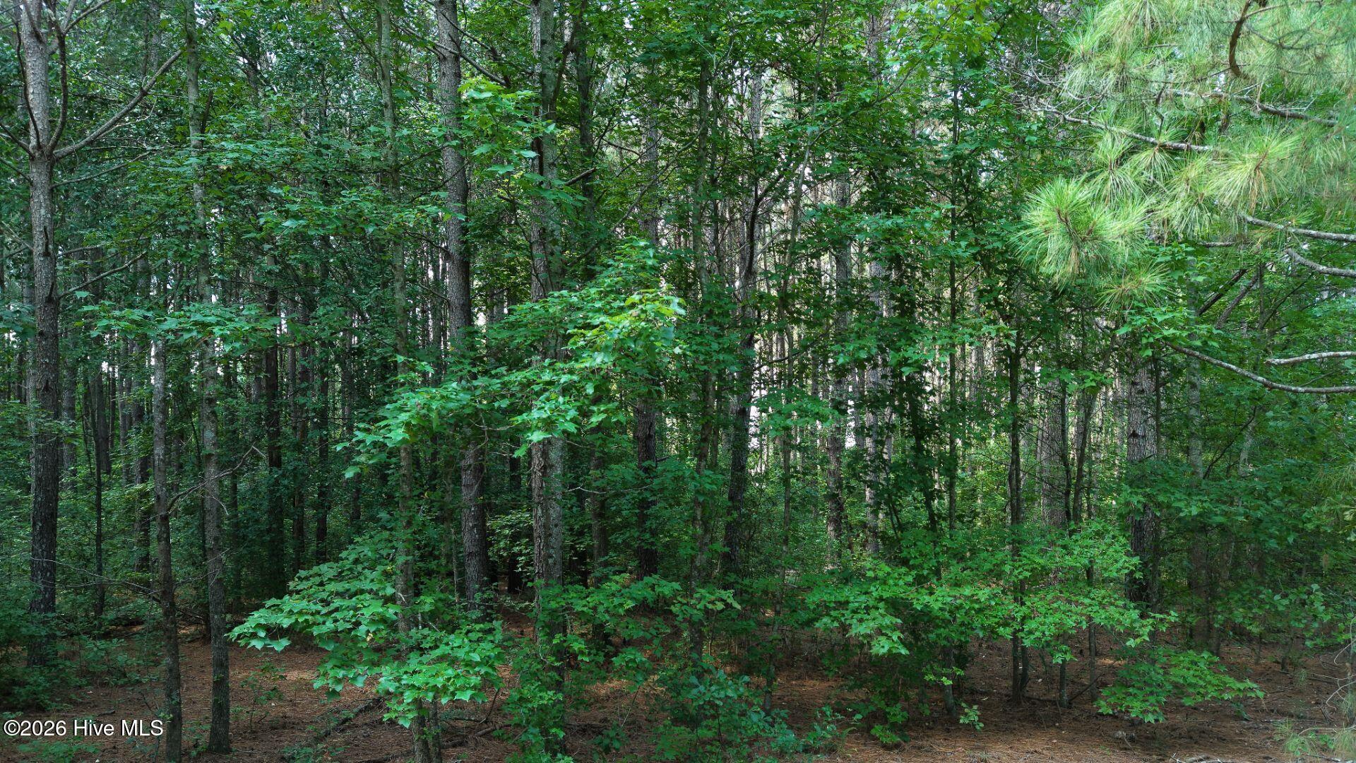 0 Prospect Road Pembroke, NC 28372 - Photo 21 of 45
