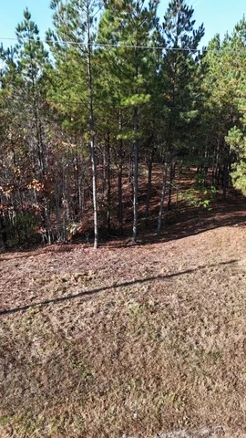 a view of a yard with wooden fence
