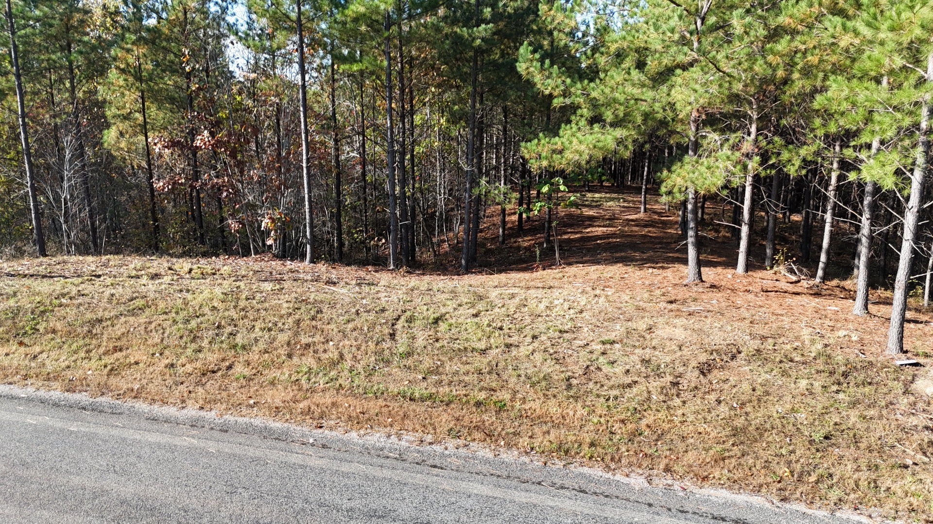 3020 Mcgee Road Linden, TN 37096 - Photo 17 of 24 a view of snow yard