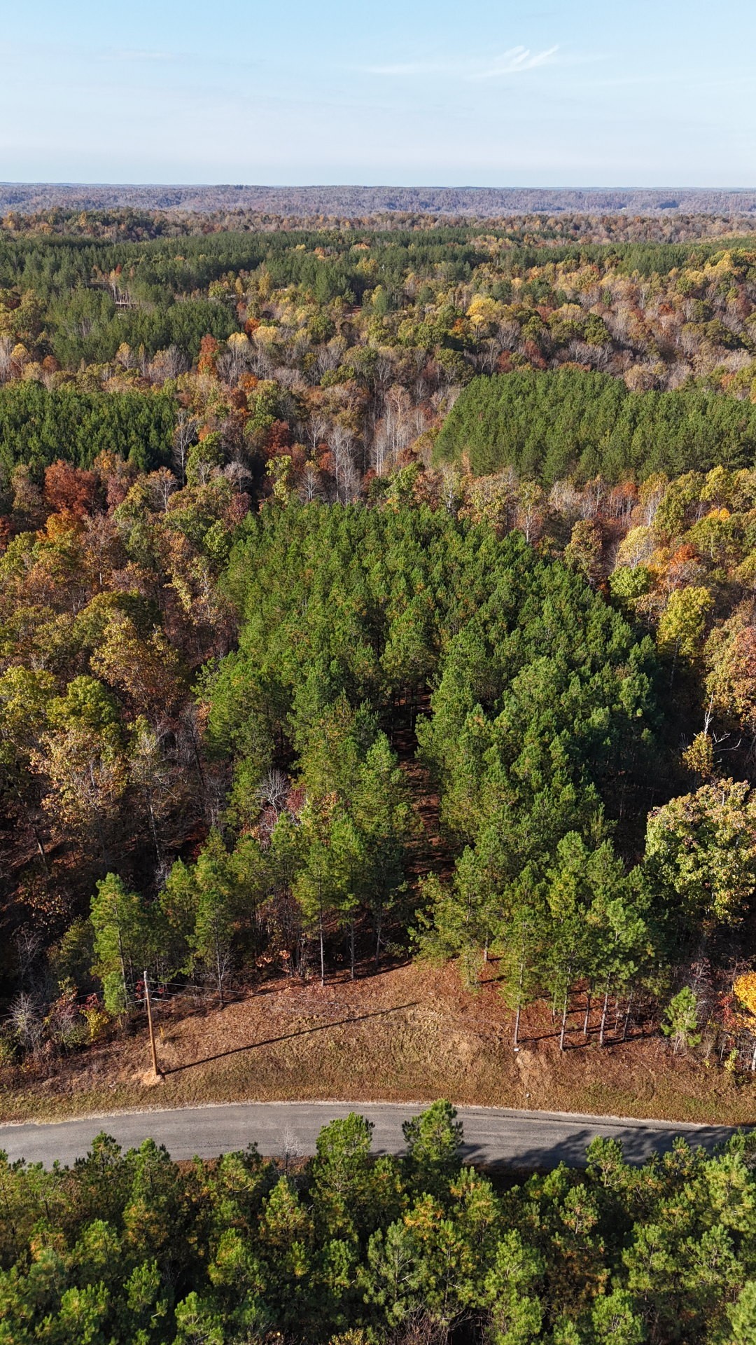 3020 Mcgee Road Linden, TN 37096 - Photo 18 of 24 an aerial view of multiple house