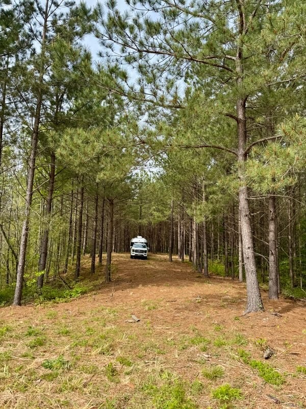 3020 Mcgee Road Linden, TN 37096 - Photo 4 of 24 a backyard of a house with swimming pool