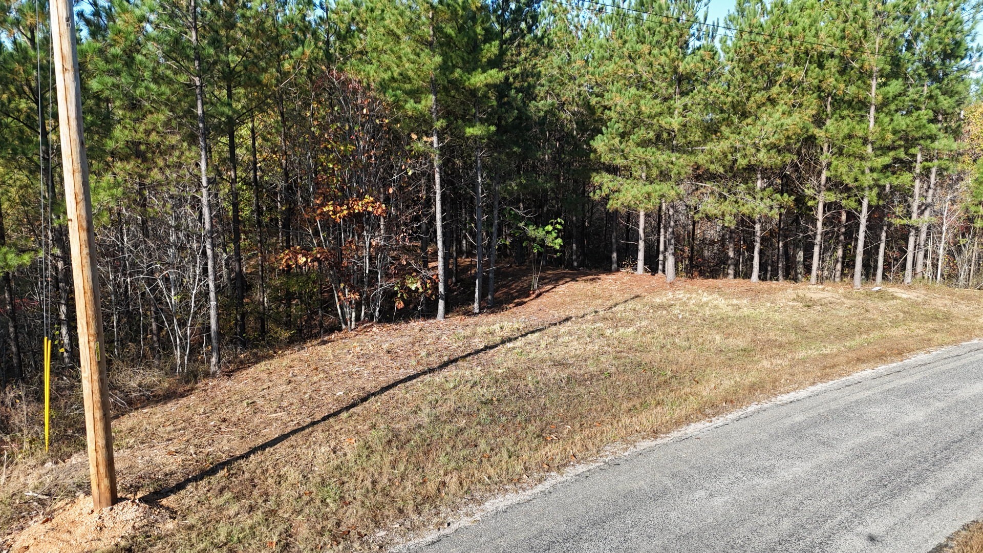 3020 Mcgee Road Linden, TN 37096 - Photo 8 of 24 a pathway of a house with a yard
