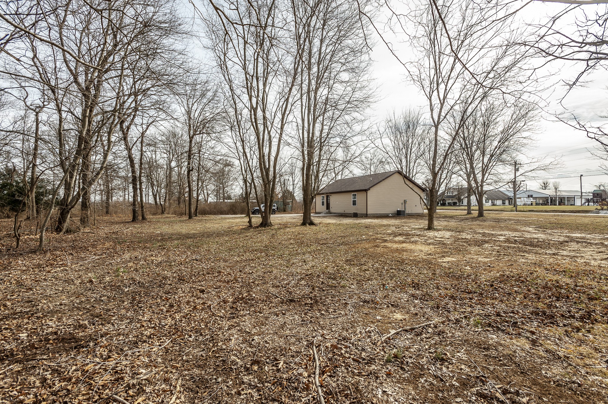 4641 Highway 161 Springfield, TN 37172 - Photo 6 of 25 a view of house with trees in the background