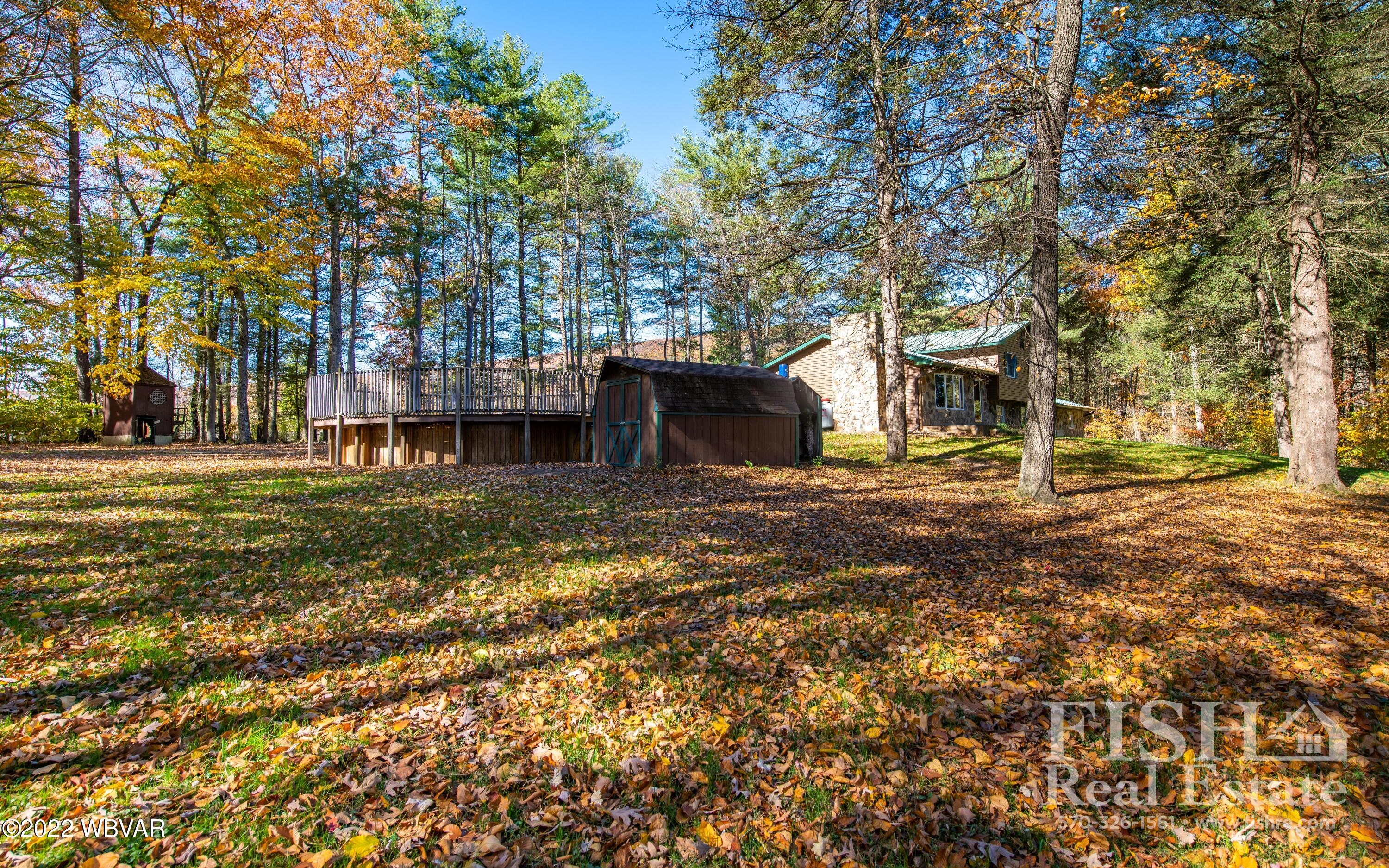 315 Green Pine Road Montgomery, PA 17752 - Photo 6 of 34 Gallery Image 6