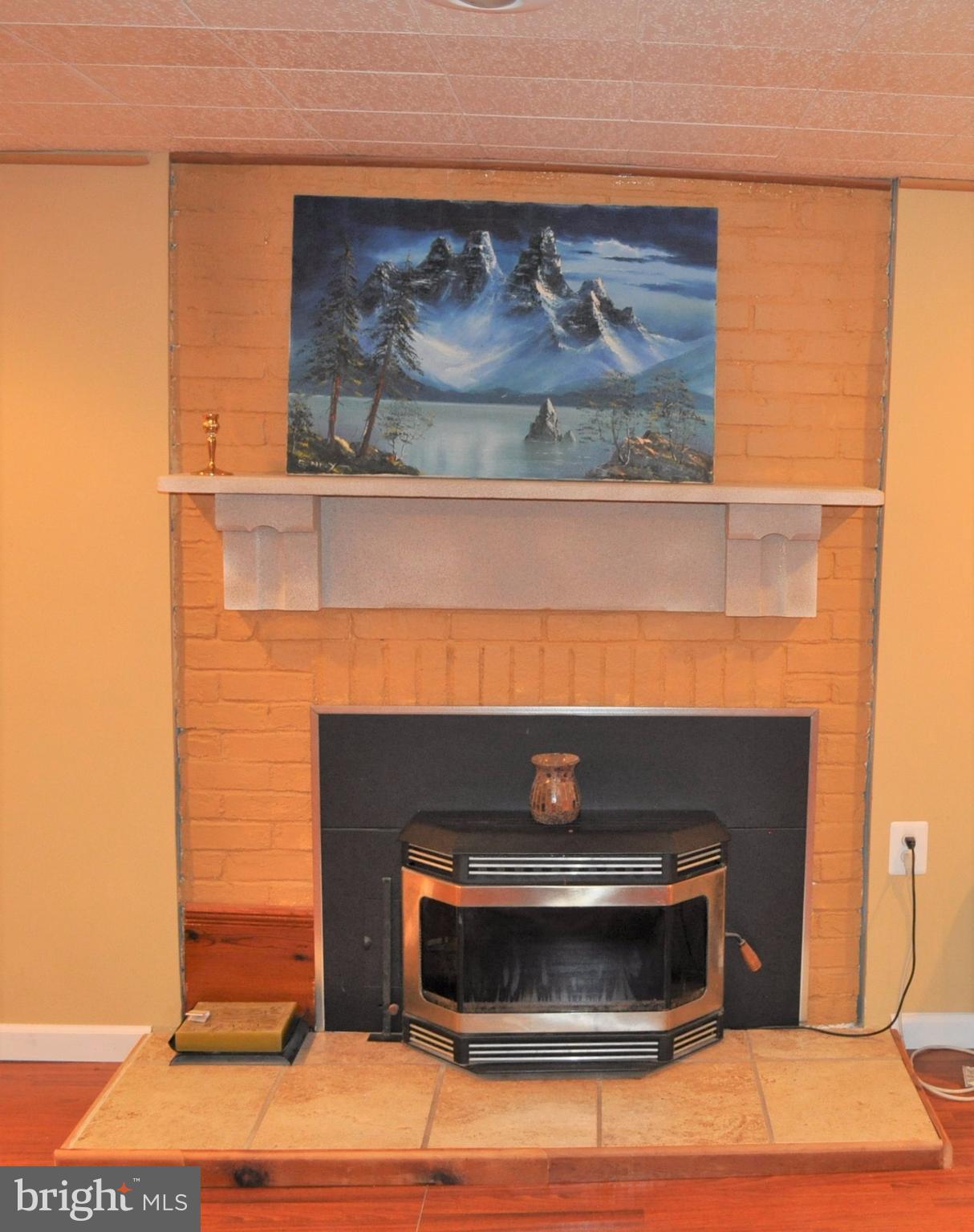 131 Farmington Road West Accokeek, MD 20607 - Photo 22 of 30 a room with a fireplace and wooden floor