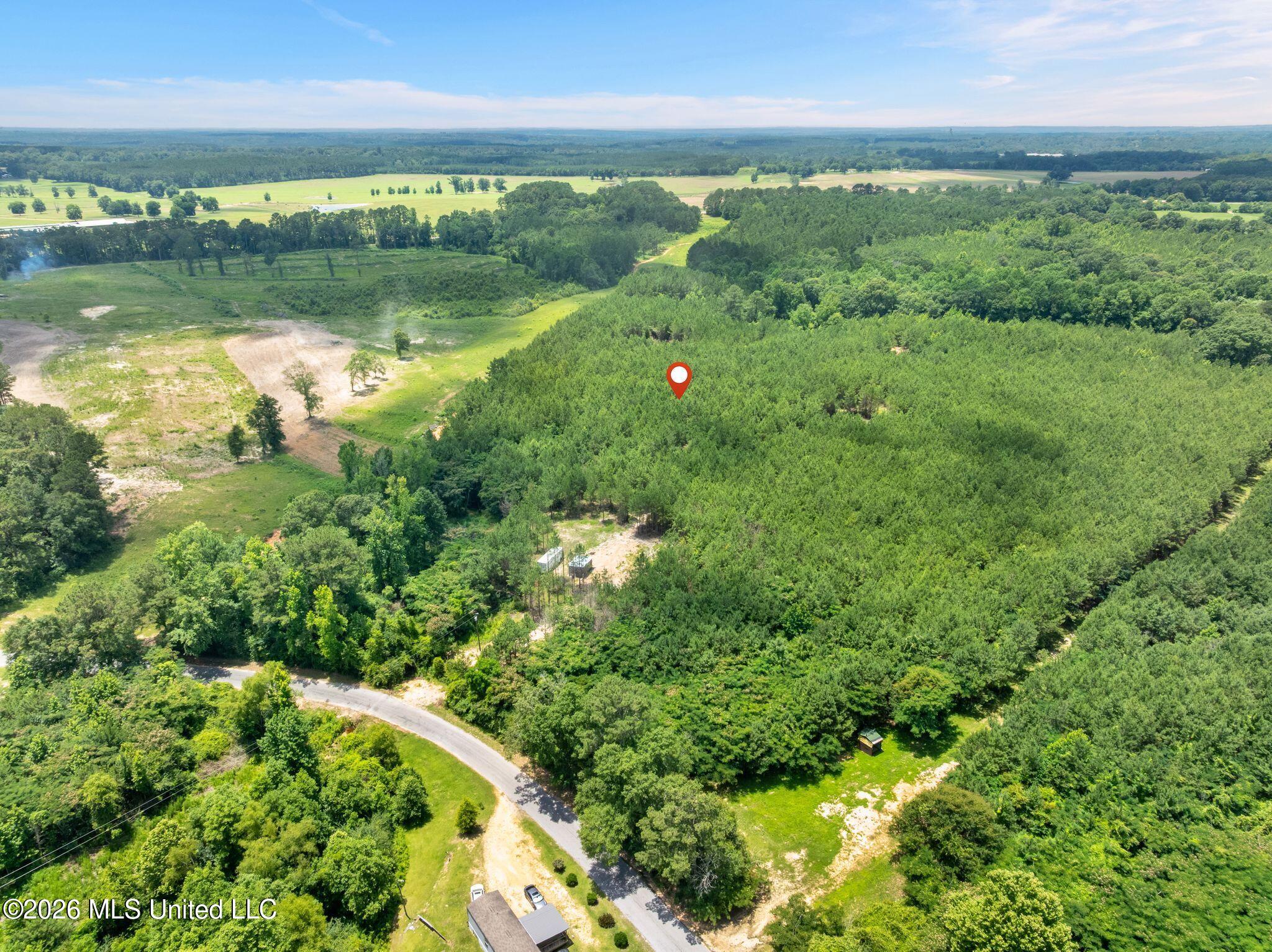 31-acres Ridgeland Road Bassfield, MS 39421 - Photo 25 of 27 85_Ridgeland_Rd-25