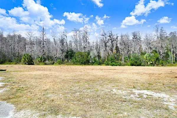 $1,199,900 | Tobacco Road, Lutz, FL 33558