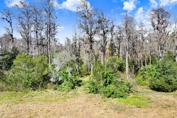 $1,199,900 | Tobacco Road, Lutz, FL 33558