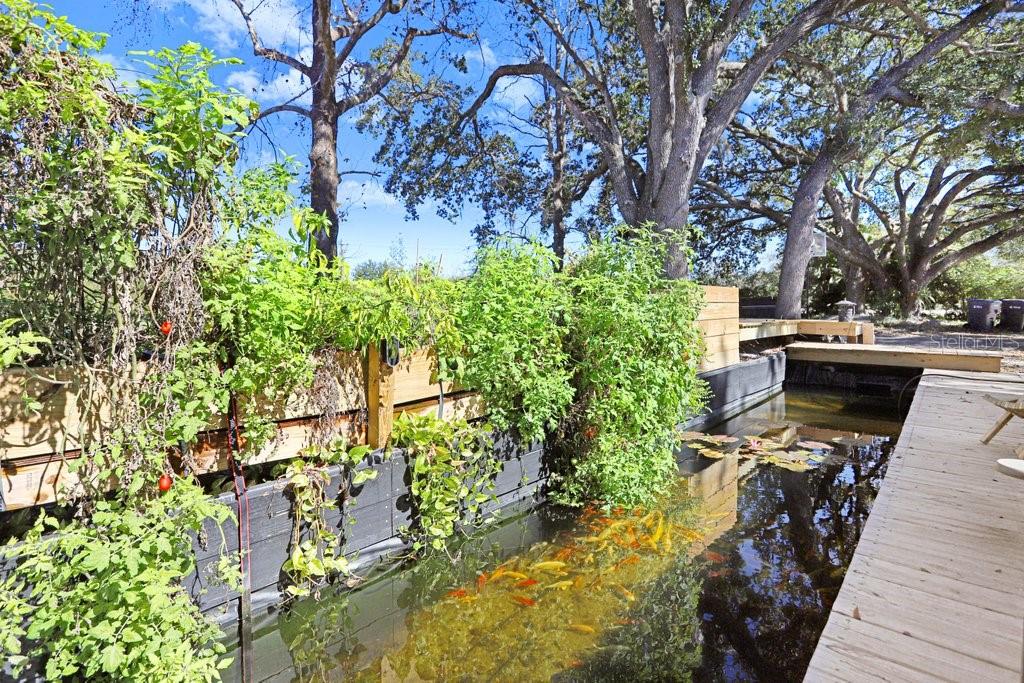 Tobacco Road Lutz, FL 33558 - Photo 19 of 43