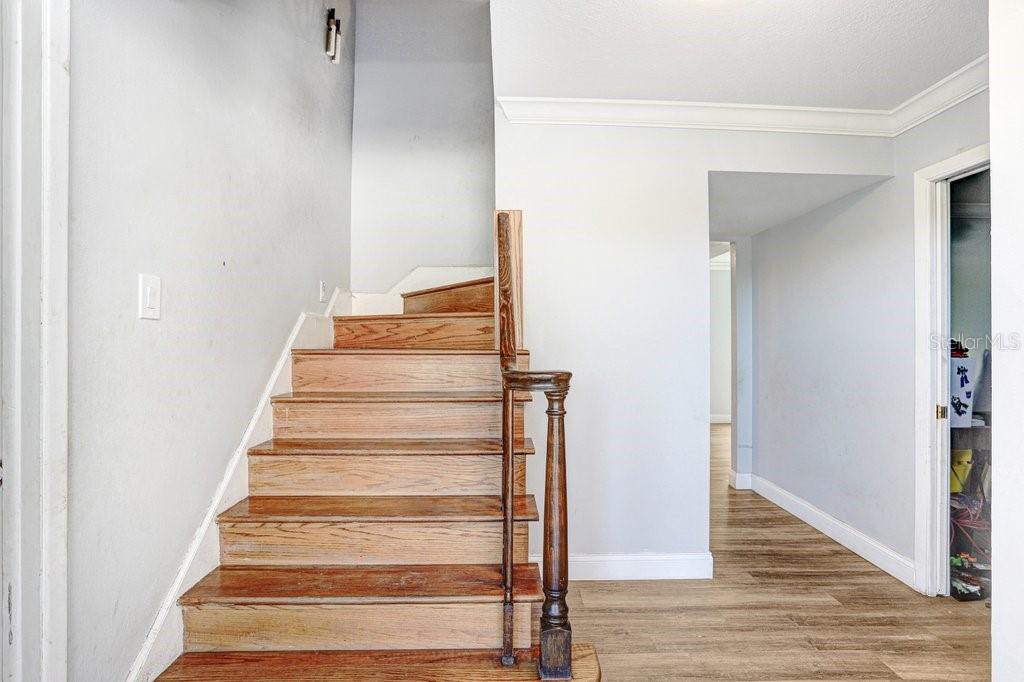 Tobacco Road Lutz, FL 33558 - Photo 20 of 43