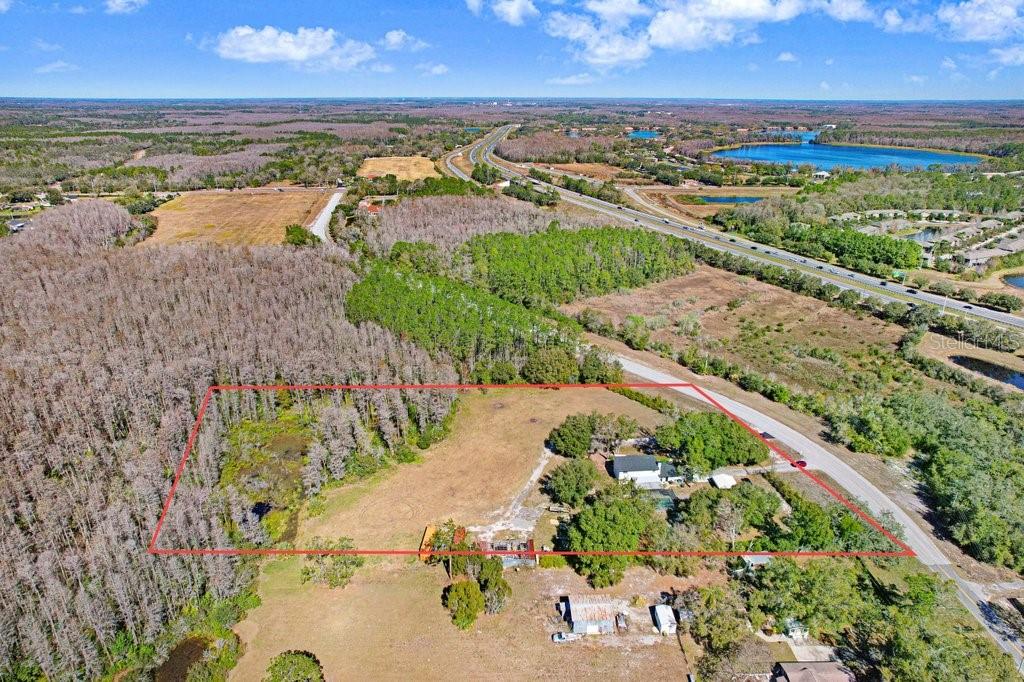 Tobacco Road Lutz, FL 33558 - Photo 2 of 43