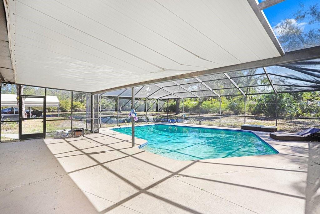 Tobacco Road Lutz, FL 33558 - Photo 37 of 43