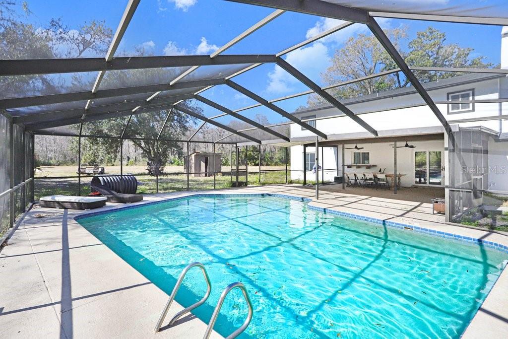 Tobacco Road Lutz, FL 33558 - Photo 39 of 43