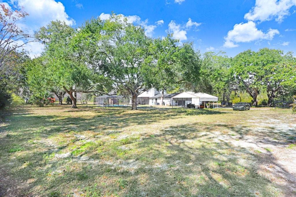 Tobacco Road Lutz, FL 33558 - Photo 40 of 43