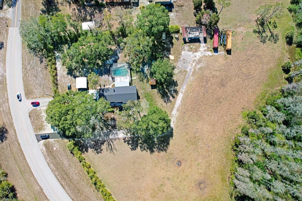 Tobacco Road Lutz, FL 33558 - Photo 7 of 43