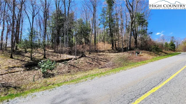 a view of a house with a yard and tree s