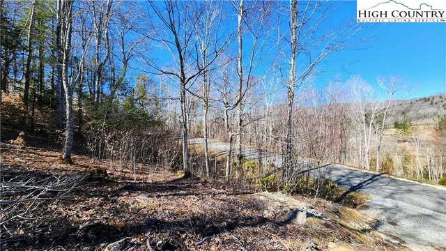 a view of backyard with green space