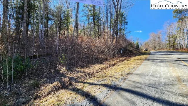 a view of backyard with green space