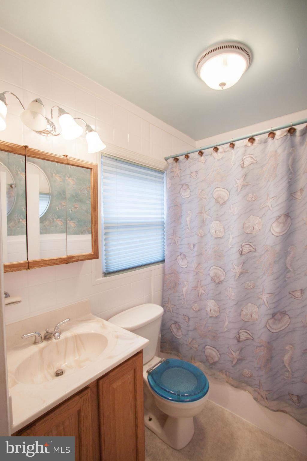 8707 School Road Baltimore, MD 21234 - Photo 10 of 26 Bath