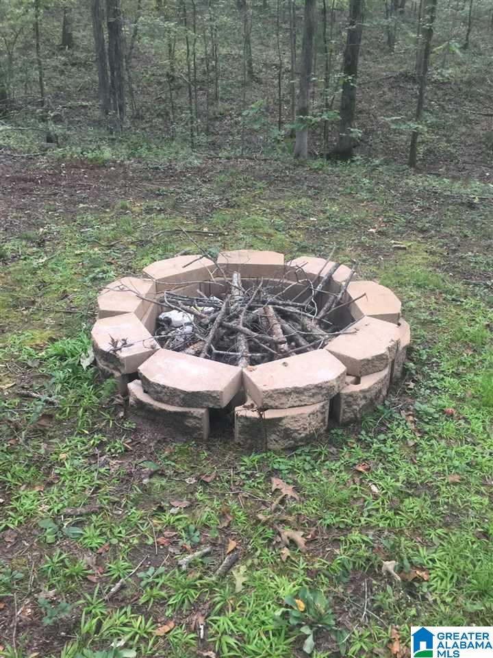 241 Sulphur Springs Road, Unit 9 89 ACRES Lincoln, AL 35096 - Photo 25 of 44