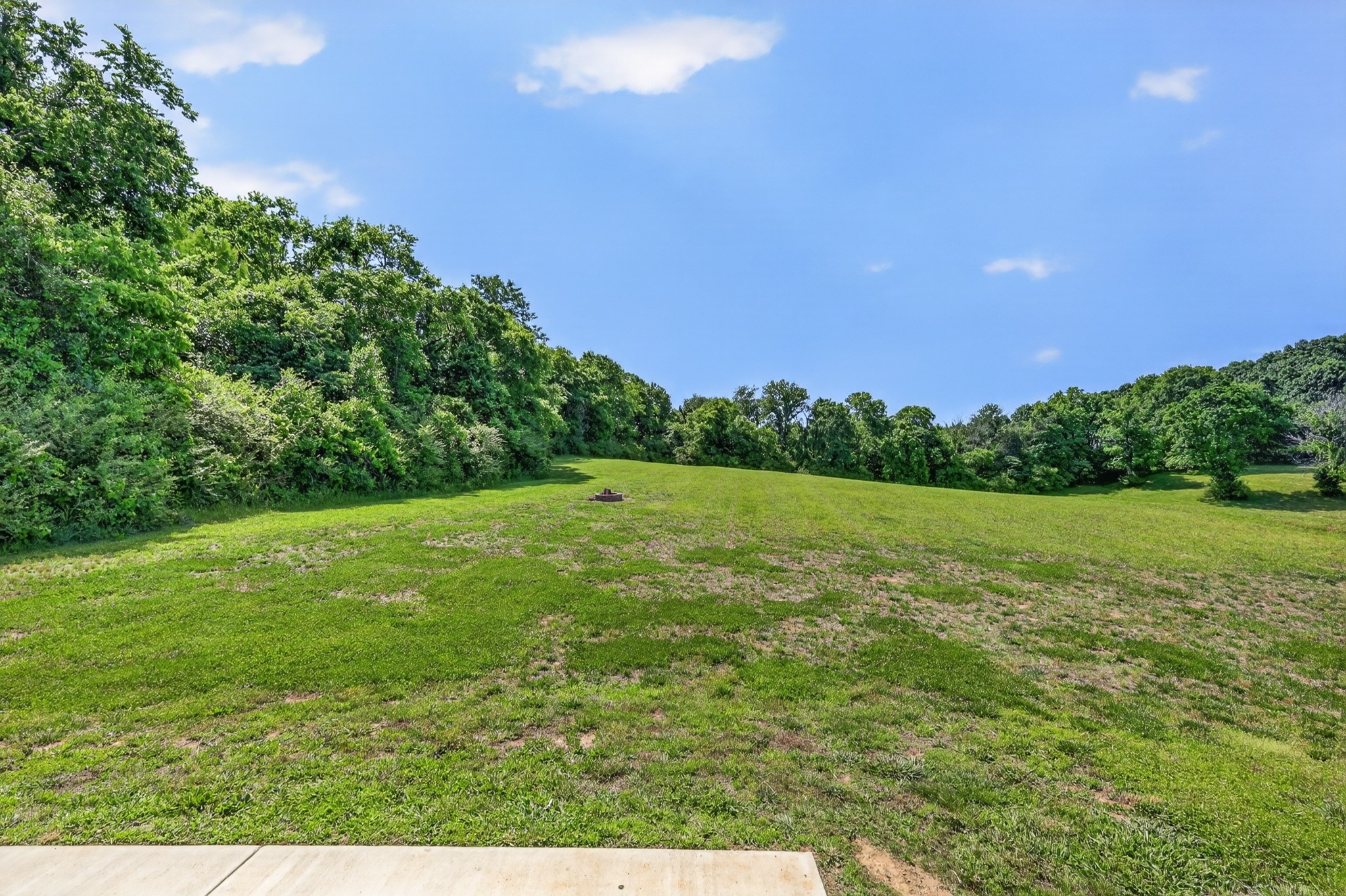 1176 Iron Bridge Road Columbia, TN 38401 - Photo 51 of 53 a view of a field with an trees
