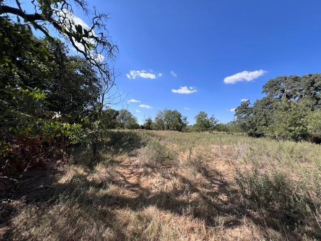241 Tbd C R Clyde, TX 79510 - Photo 5 of 10 Gallery Image 5