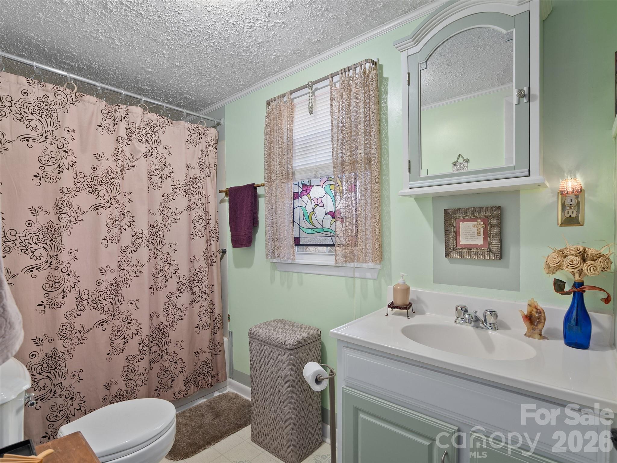 19 Mingus Street Canton, NC 28716 - Photo 19 of 28 a bathroom with a sink mirror toilet and shower