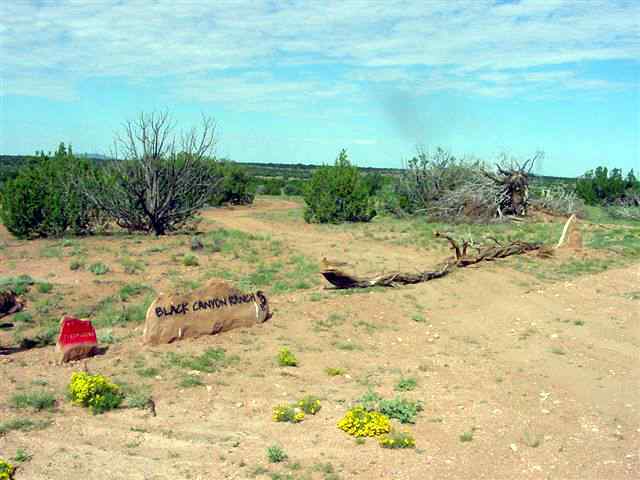 Lot 165 Chevelon Canyon Ranch Heber, AZ 85928 - Photo 2 of 3