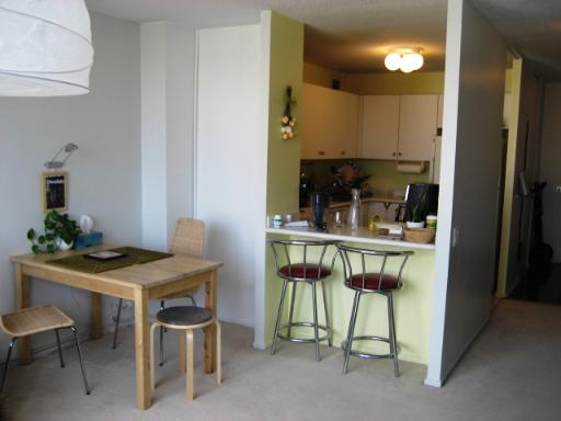 405 North Wabash Avenue, Unit 4012 Chicago, IL 60611 - Photo 8 of 16