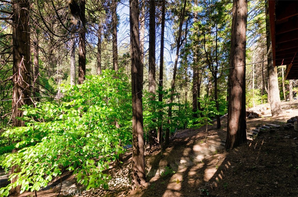 465 Blue Jay Canyon Road Blue Jay, CA 92317 - Photo 18 of 26