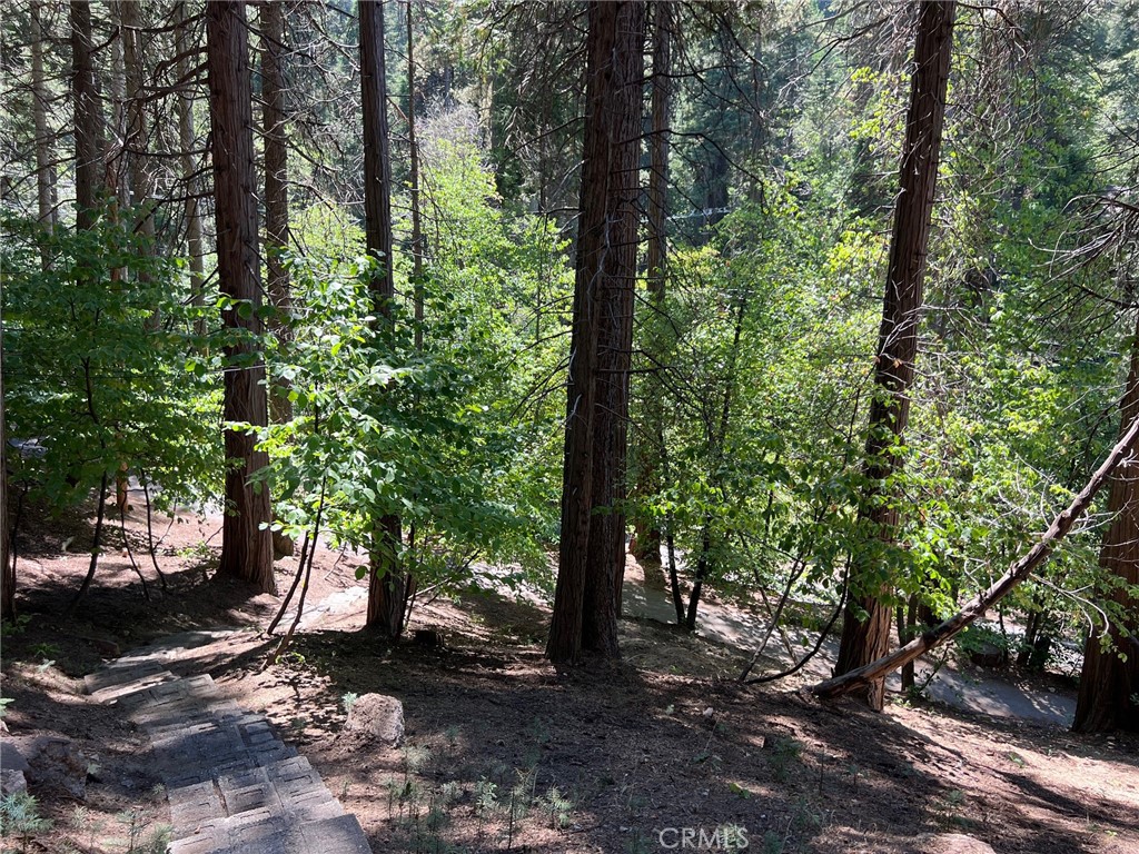 465 Blue Jay Canyon Road Blue Jay, CA 92317 - Photo 19 of 26 a view of outdoor space and trees