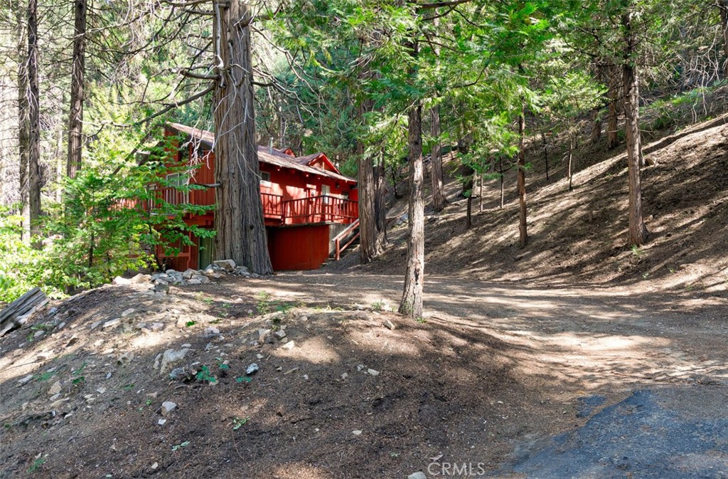 465 Blue Jay Canyon Road Blue Jay, CA 92317 - Photo 4 of 26 a view of a tree in the middle of a yard