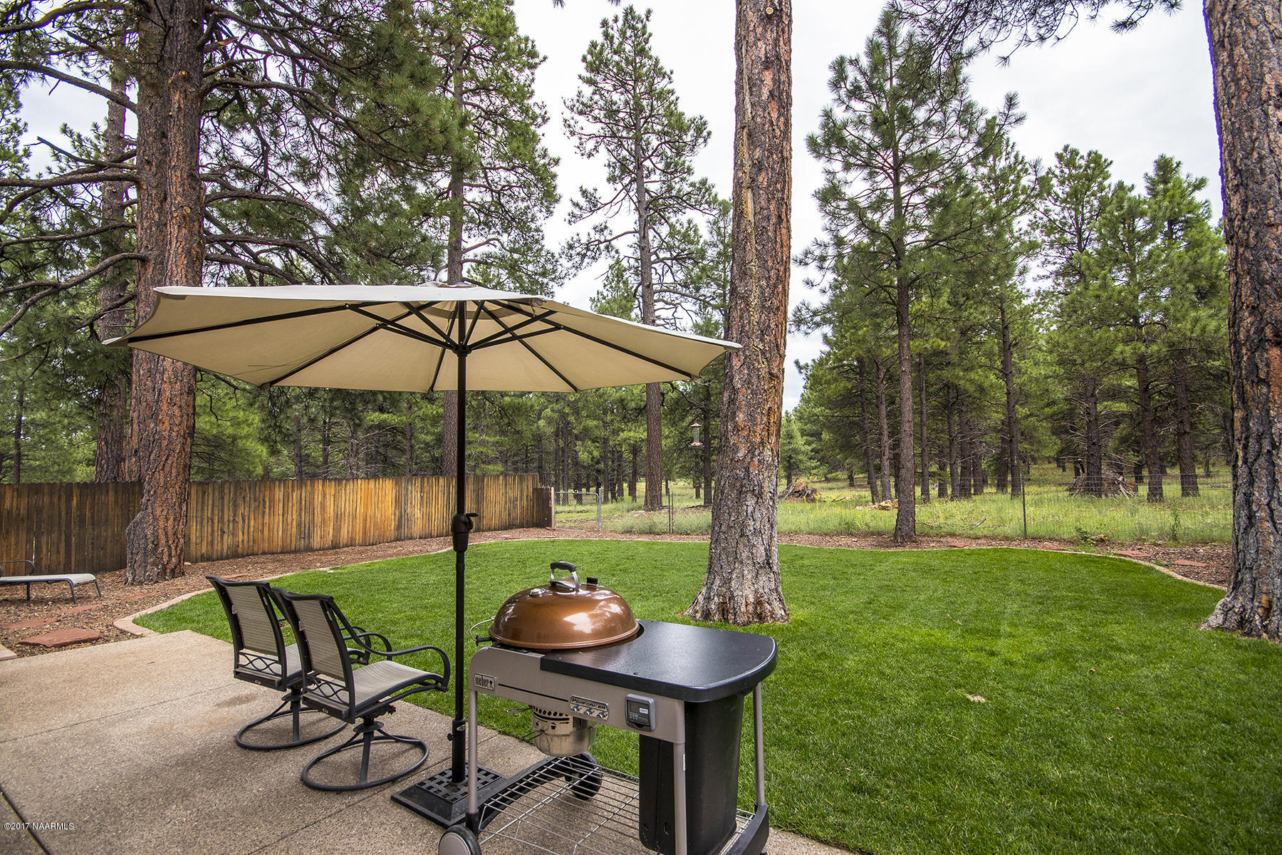 19 East Quartz Road Flagstaff, AZ 86005 - Photo 25 of 29 25_Back Patio2