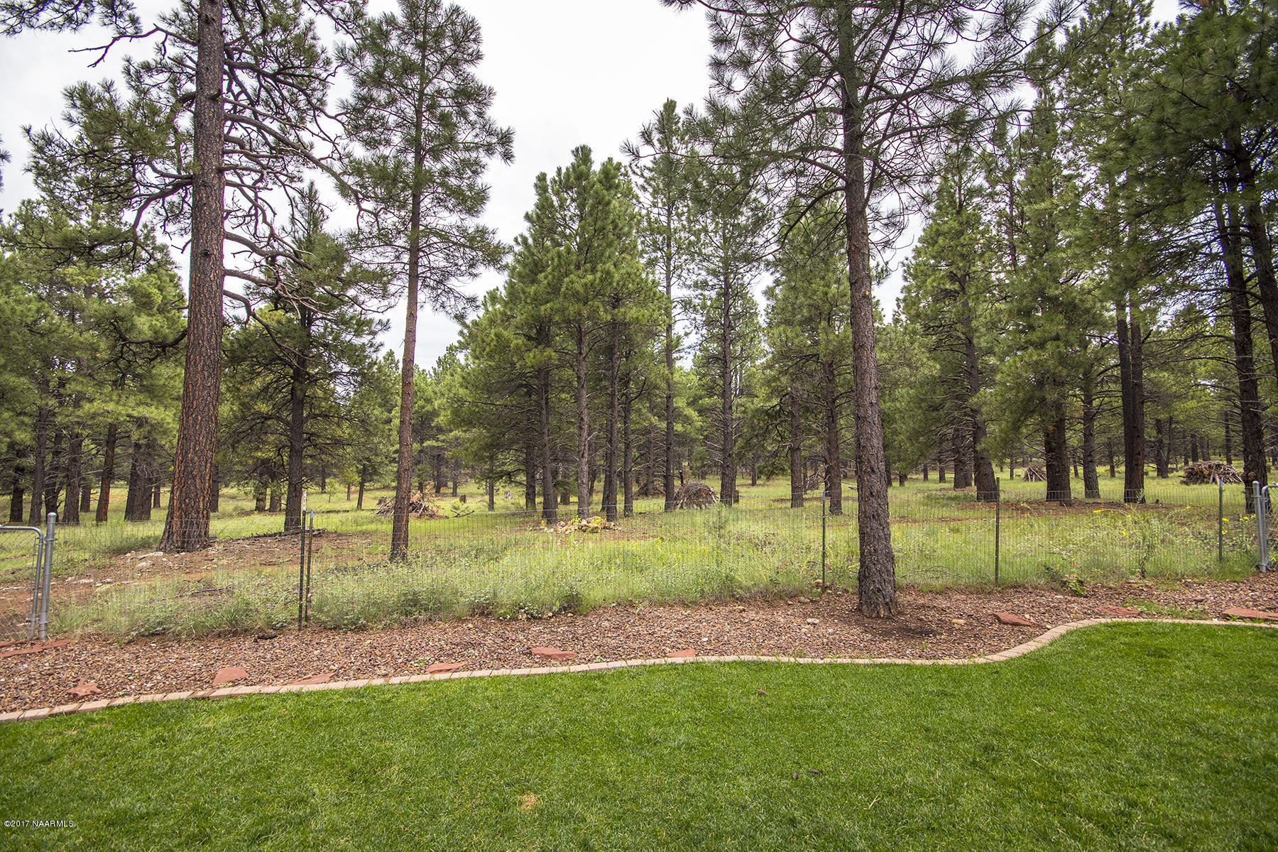19 East Quartz Road Flagstaff, AZ 86005 - Photo 28 of 29 28_Backyard