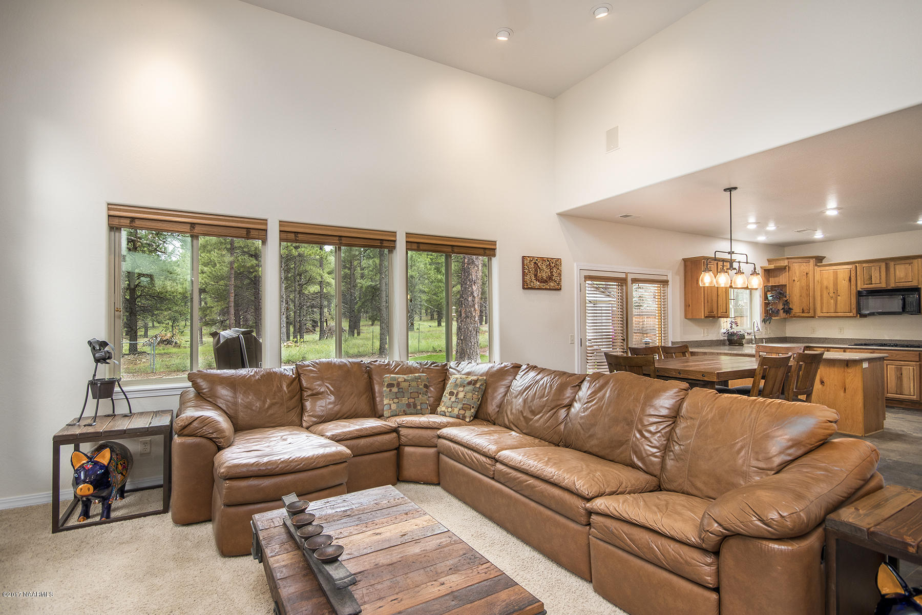 19 East Quartz Road Flagstaff, AZ 86005 - Photo 8 of 29 08_Living Room3