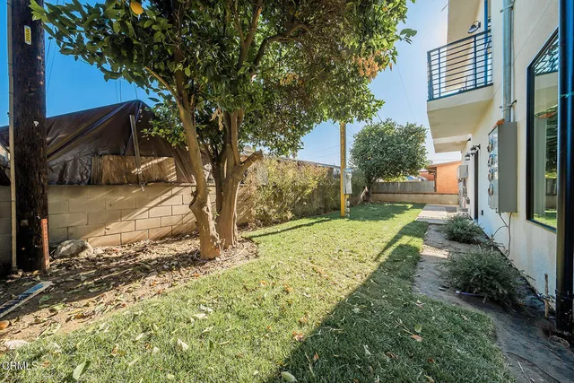 a view of a yard with plants and a trees