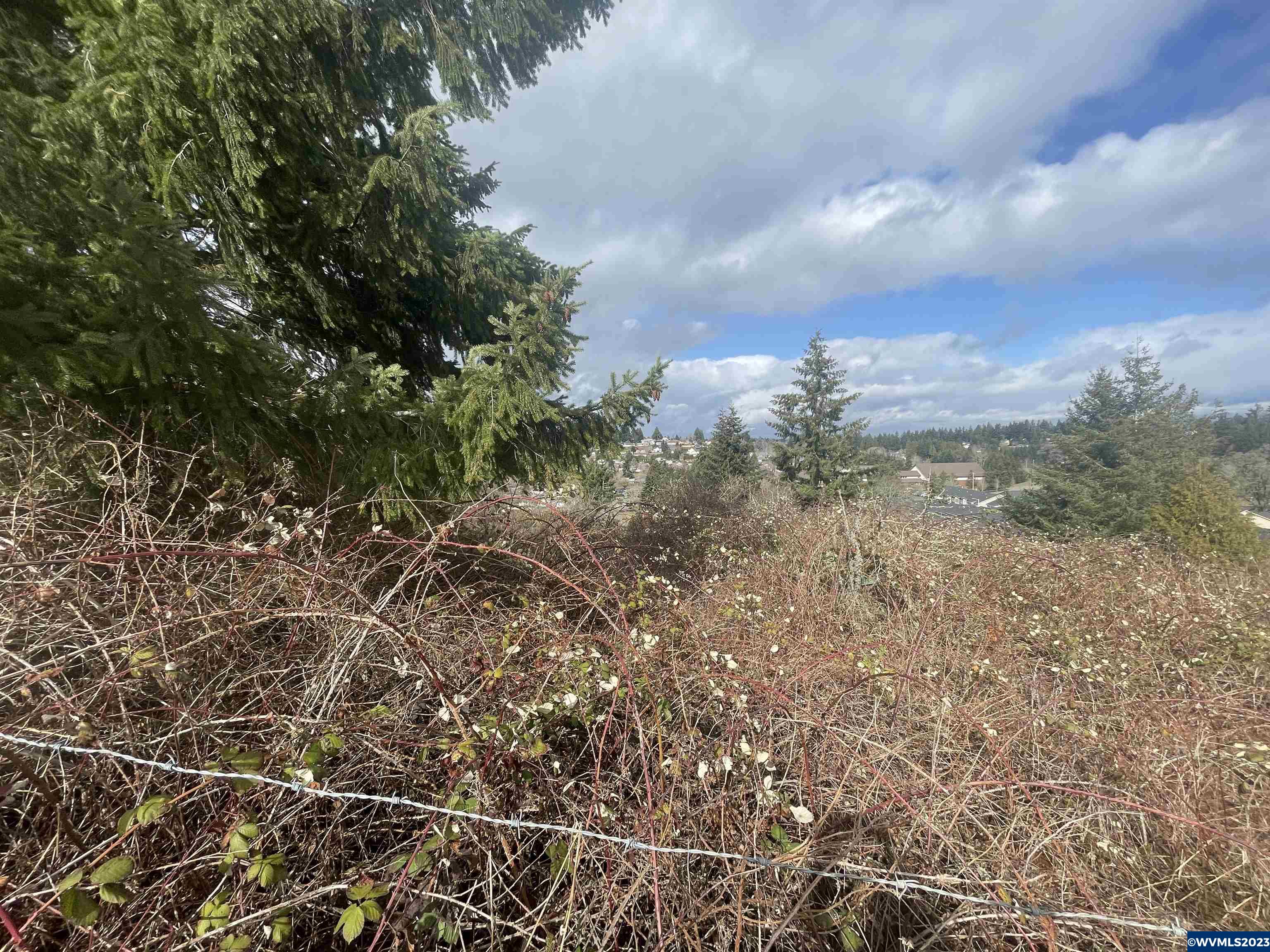 1396 Davis Road South Salem, OR 97306 - Photo 3 of 10