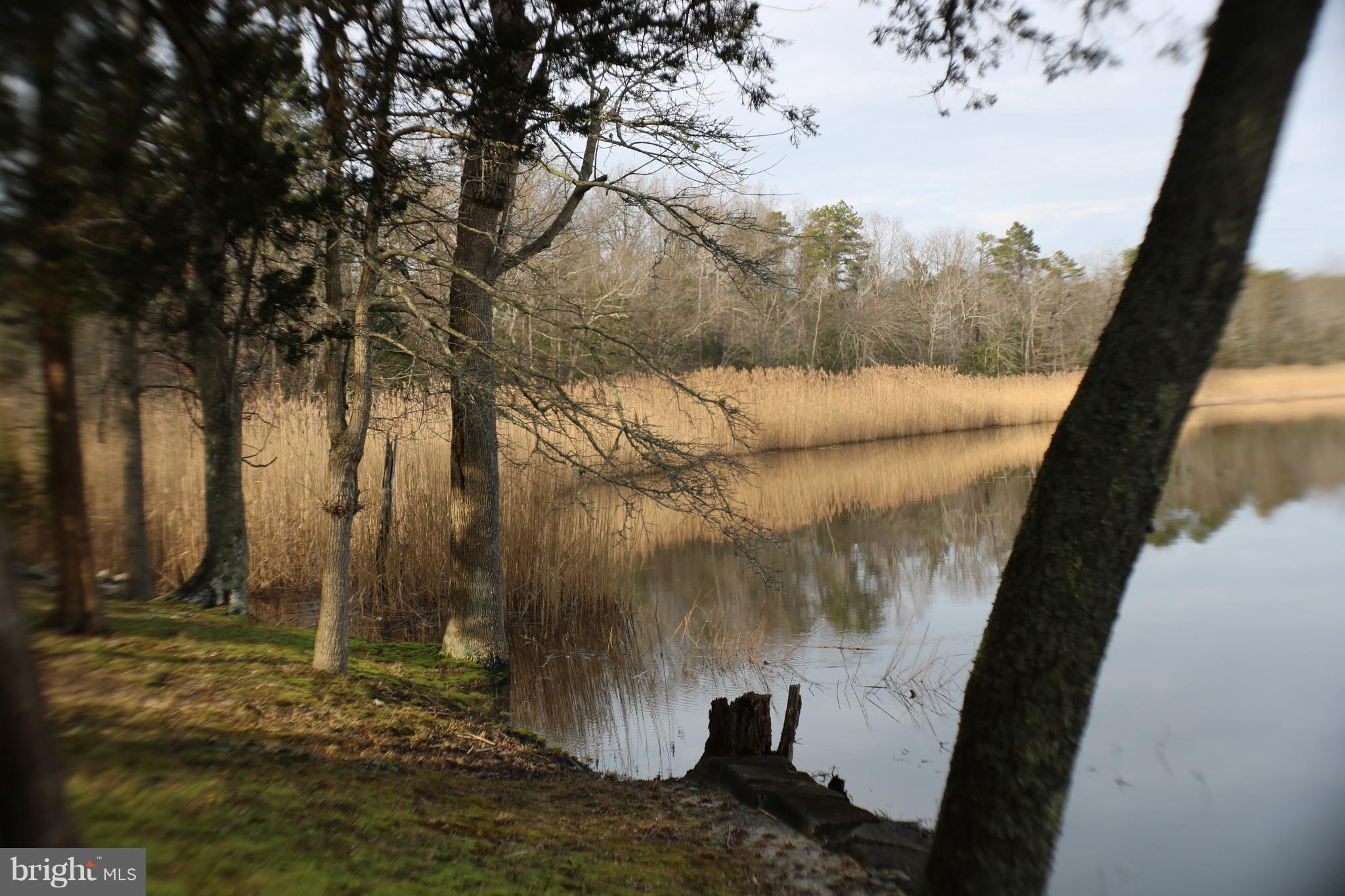 0 Barth Road, Unit 2 Millville, NJ 08332 - Photo 1 of 5 Gallery Image 1