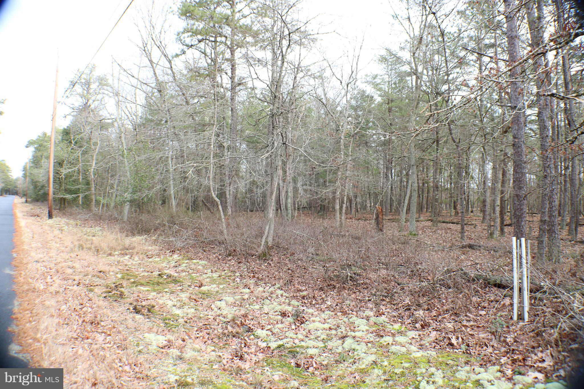 0 Barth Road, Unit 2 Millville, NJ 08332 - Photo 3 of 5 Gallery Image 3