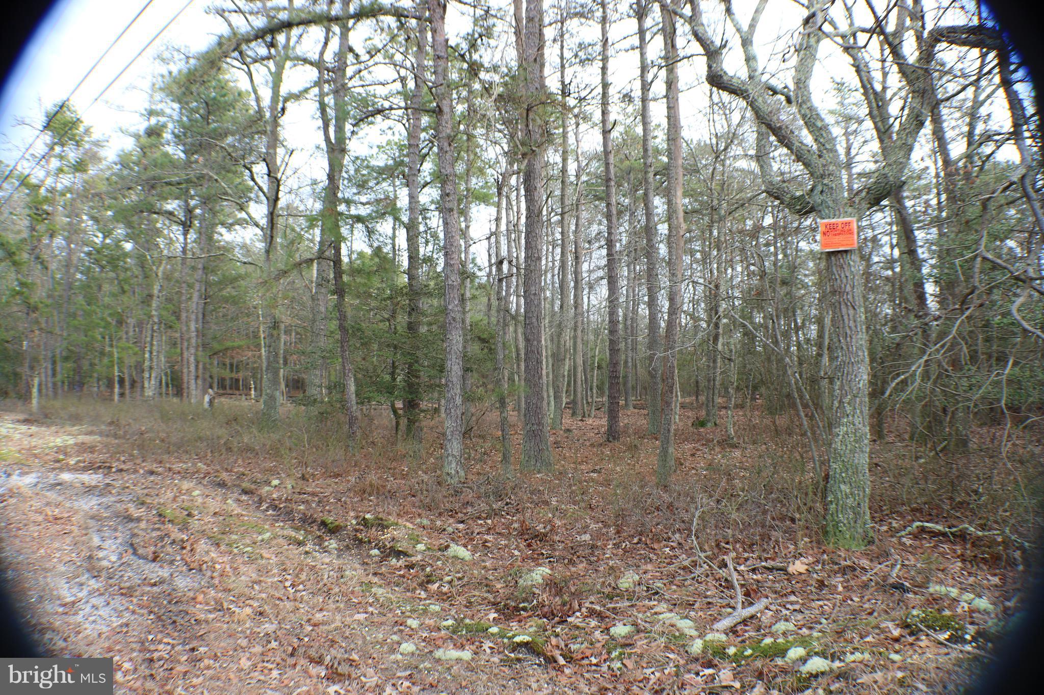 0 Barth Road, Unit 2 Millville, NJ 08332 - Photo 4 of 5 Gallery Image 4