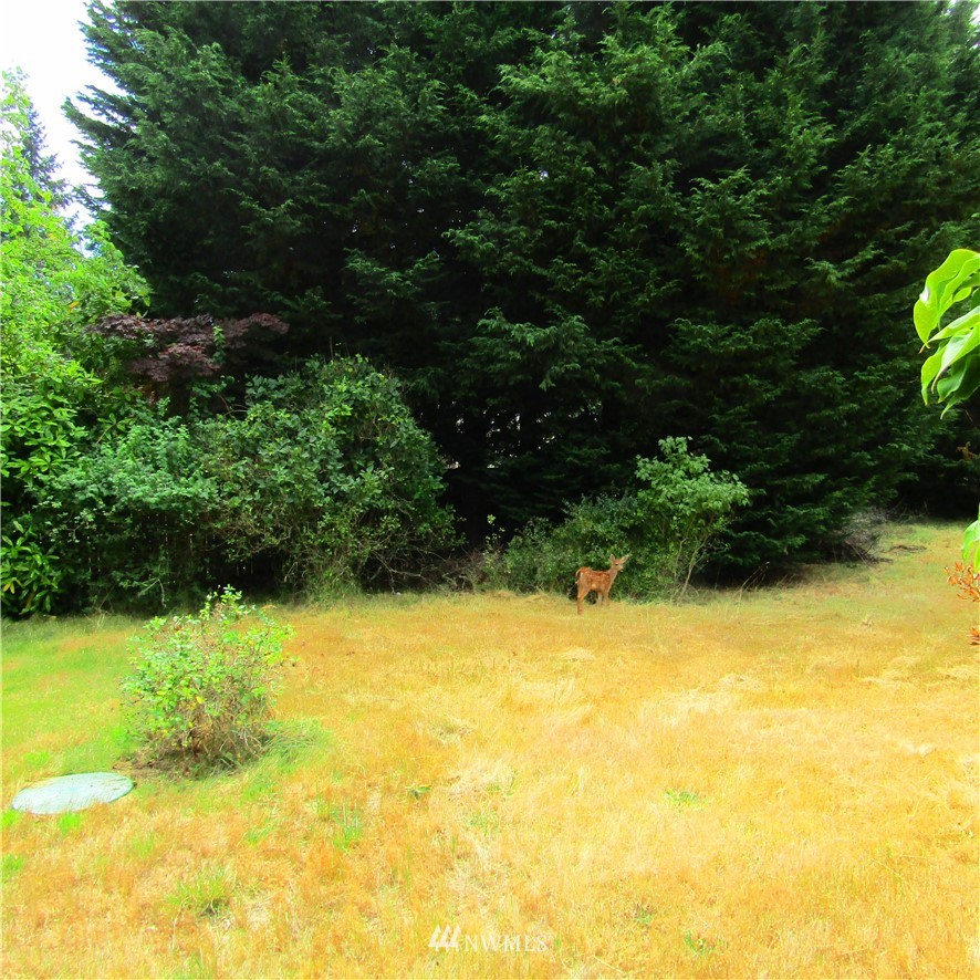 13009 Southwest 297th Way Vashon, WA 98070 - Photo 18 of 20