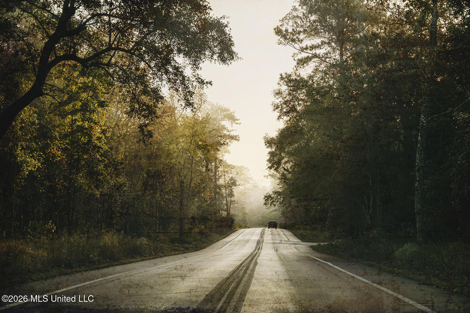 0 Eagle Point Road Ocean Springs, MS 39564 - Photo 38 of 48 5T6A1284 T