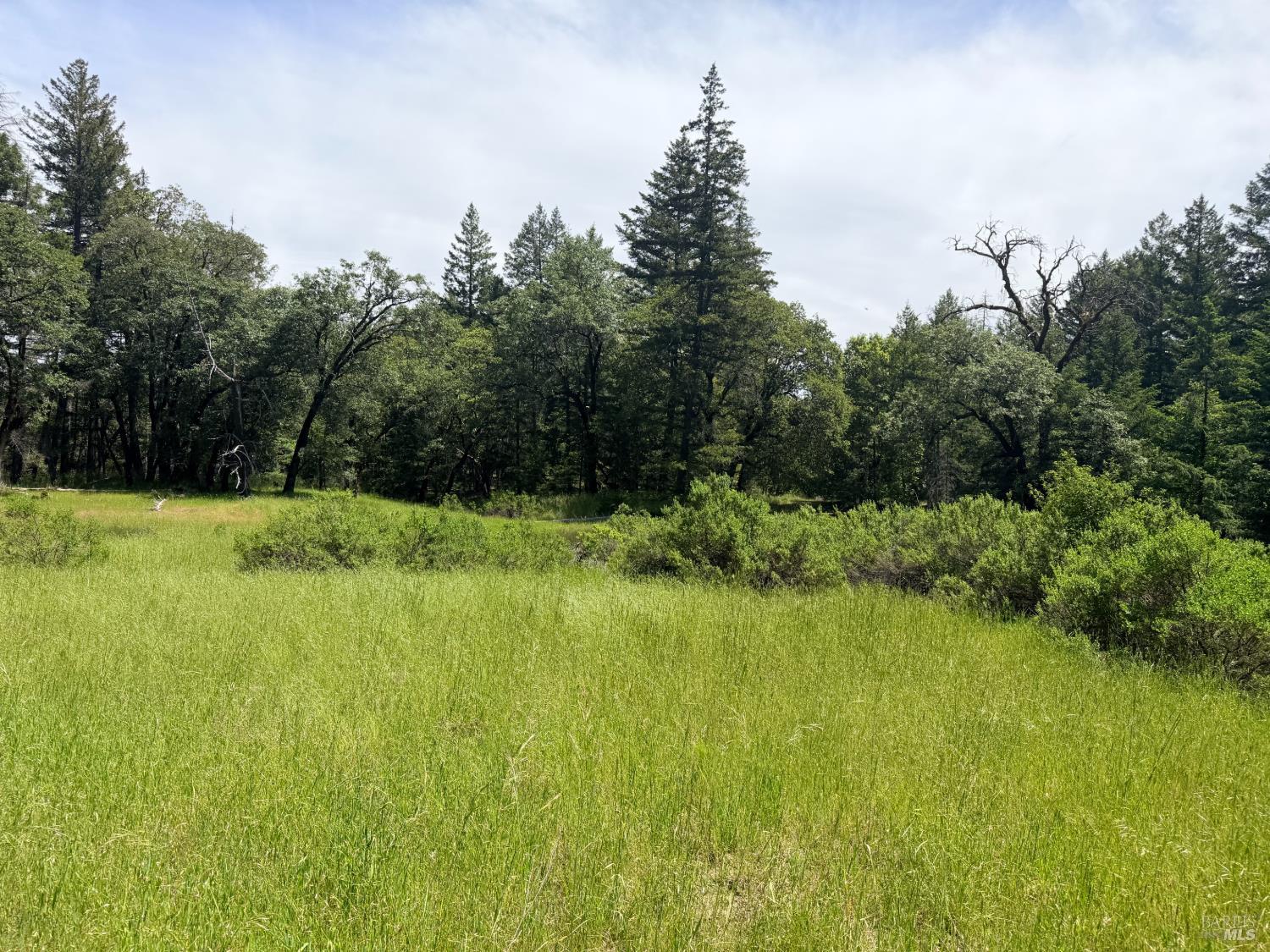 0 Registered Guest Road Laytonville, CA 95454 - Photo 7 of 18