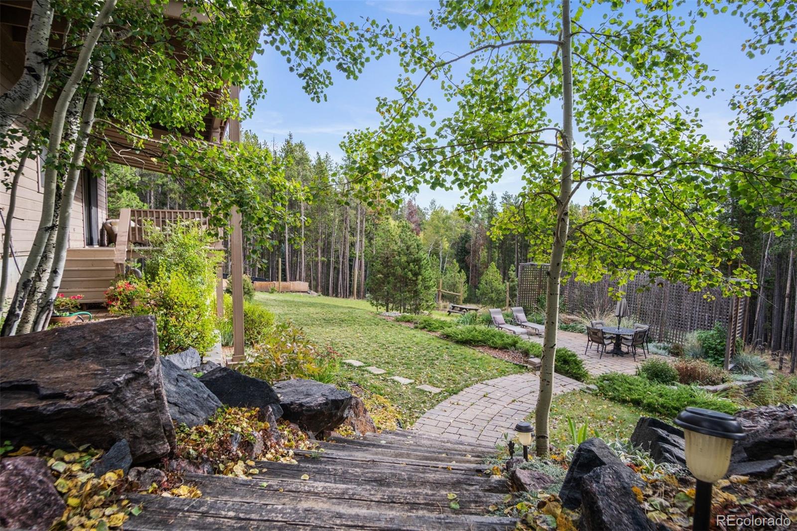8331 South Warhawk Road Conifer, CO 80433 - Photo 34 of 40 a view of a garden with plants