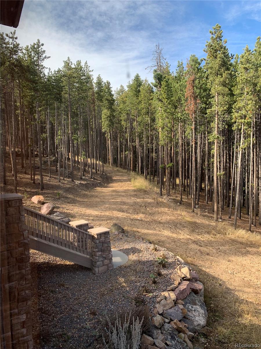 8331 South Warhawk Road Conifer, CO 80433 - Photo 37 of 40 a view of a yard with large trees