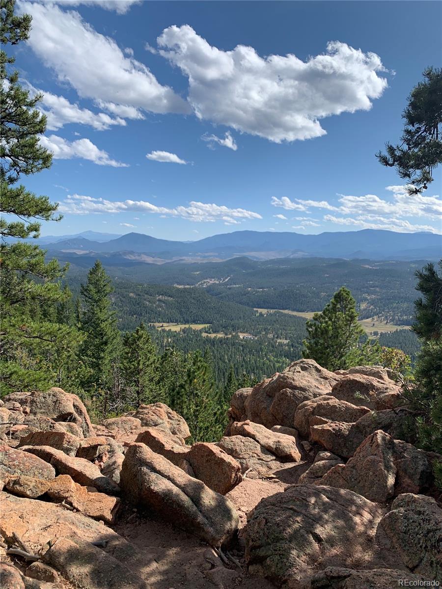 8331 South Warhawk Road Conifer, CO 80433 - Photo 39 of 40 a view of a street with an ocean view