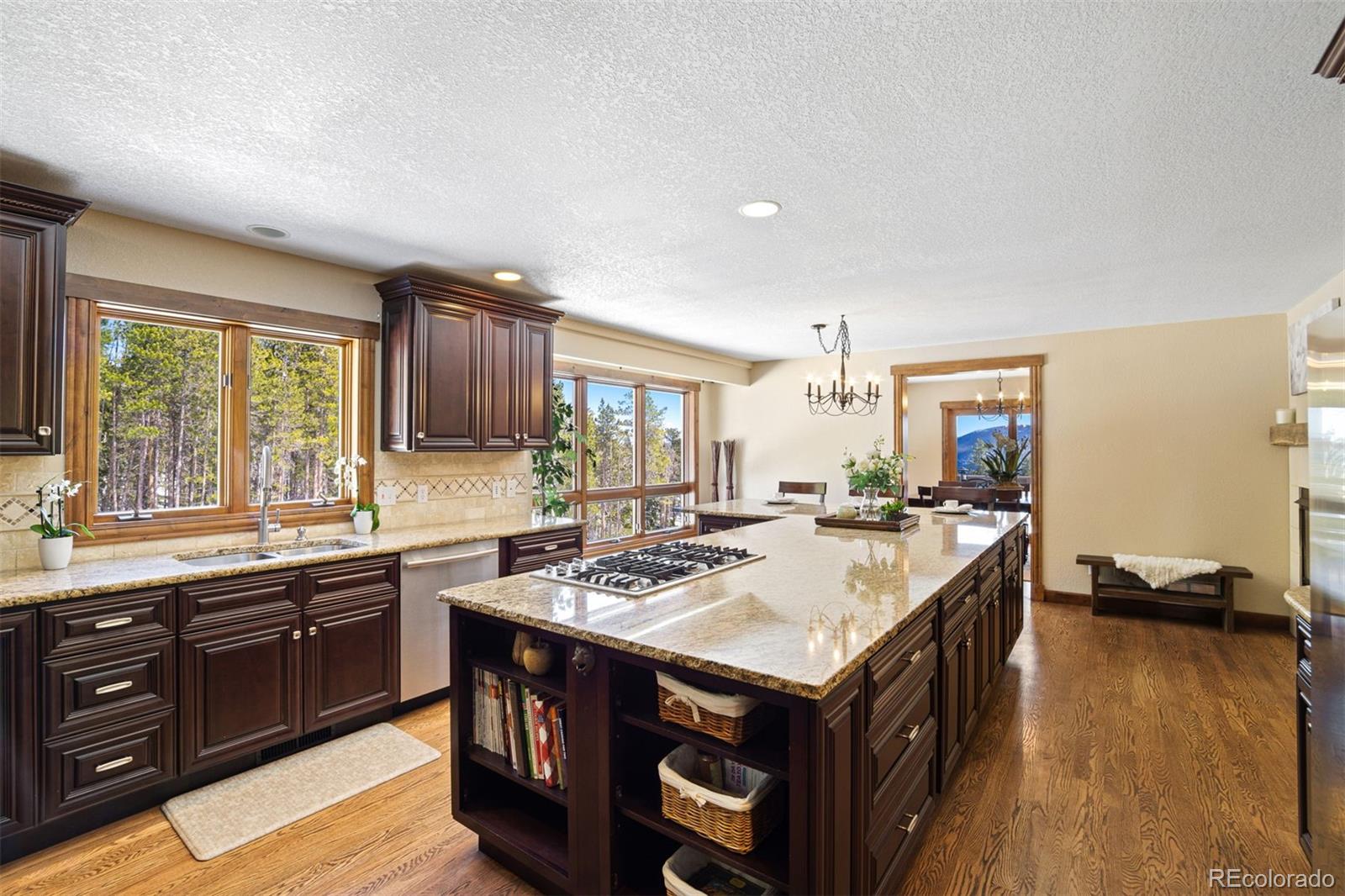 8331 South Warhawk Road Conifer, CO 80433 - Photo 9 of 40 a kitchen with a stove a sink dishwasher and a refrigerator with wooden floor
