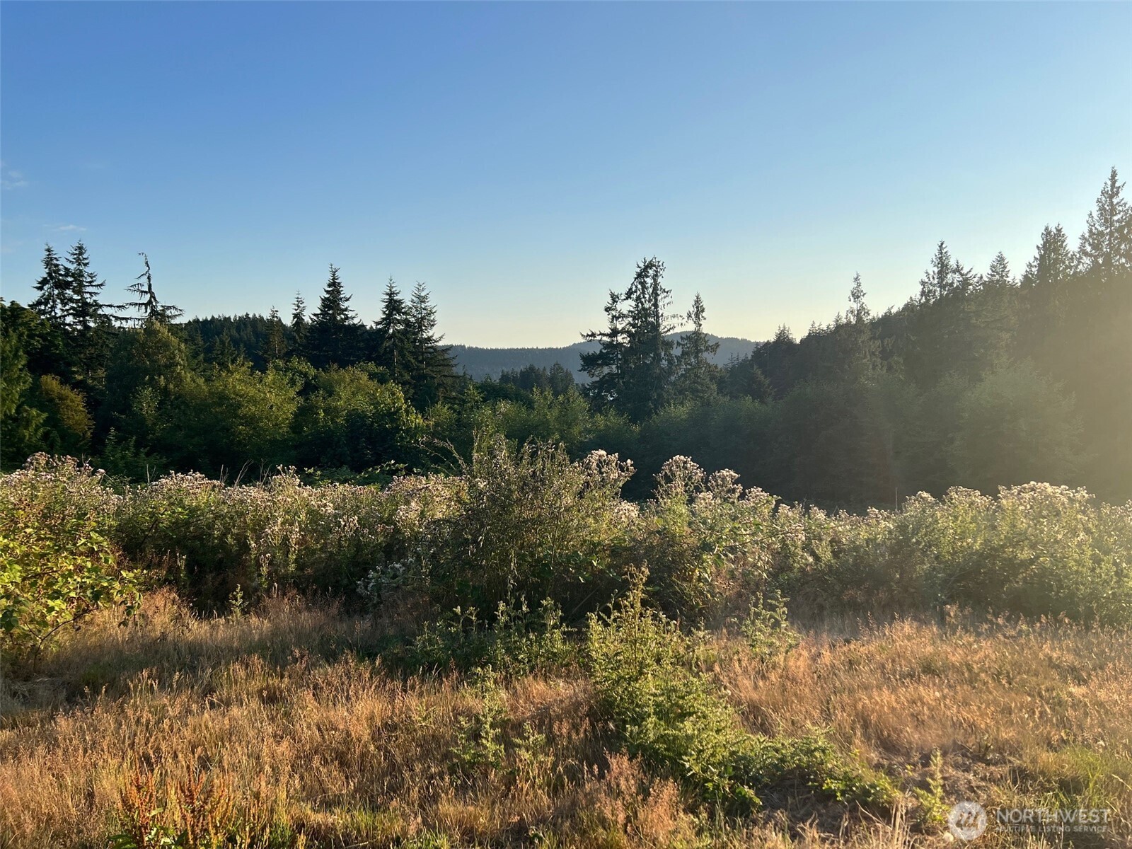 7006 State Rte 20 Anacortes, WA 98221 - Photo 8 of 21