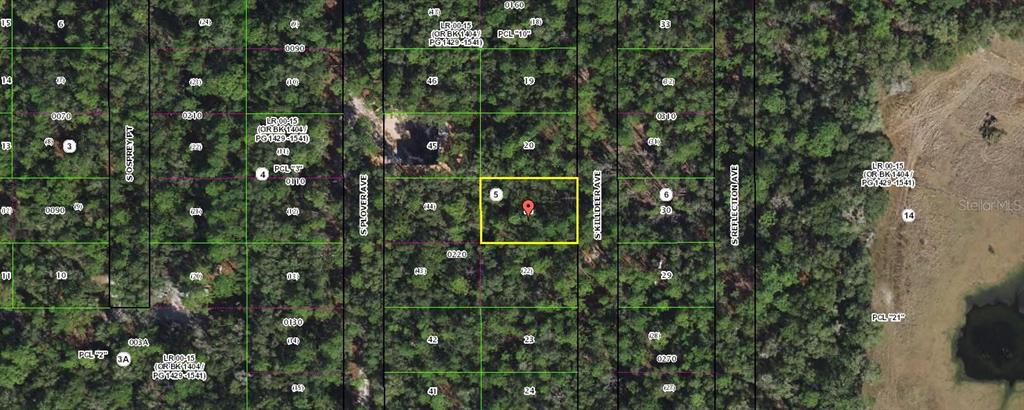 3862 South Killdeer Avenue Inverness, FL 34450 - Photo 1 of 1 a close up of a tree